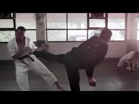 اروع قتال من فيلم النينجا 2