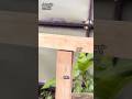 Simple Trick to Make Wood Joints Super Strong #woodworking #lifehacks