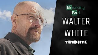 Walter White • I've Turned Into Monster