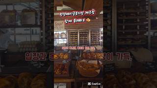 런던베이글뮤지엄 제주 내부 공개! 베이글 천국이 여기였어 🥯 #제주여행 #제주맛집 #jeju #londonbagelmuseum #런던베이글뮤지엄 #shorts #베이글 #여행