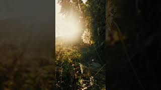 Sony Xperia 1V insane camera |4K 120FPS slow-mo #cinematic