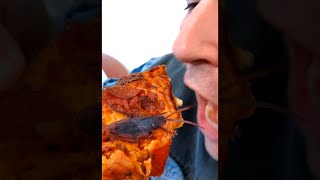ROACH ON PIZZA! 🦗 #shorts