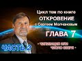 ЧИПИЗАЦИЯ или ЧИСЛО ЗВЕРЯ | Откровение 7 | Часть 2