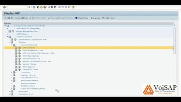 How to Define Company in SAP I Theory I VoiSAP