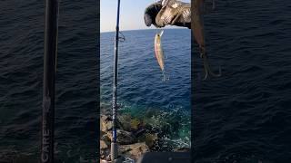 Spinning In Clear Water