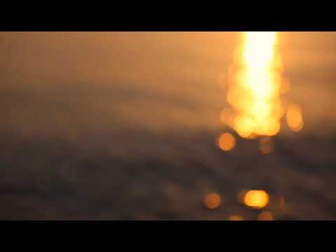 يا أيها الذين آمنوا إنما المشركون نجس شيخ عبد النور رحيم 12 دقيقة تلاوة خاشعة