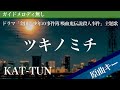 【ピアノ伴奏】ツキノミチ / KAT-TUN ドラマ「金田一少年の事件簿 吸血鬼伝説殺人事件」主題歌