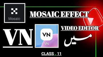 How to add Mosaic Effect in VN APP | VN Video Editing Tutorial