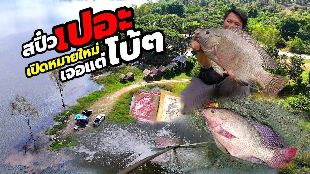 ขยับหมายติดไมยราพ สับที เจอแต่โบ้ๆ สปิ๋วเปอะ สูตรนี้เอาเรื่อง!💥 Ab-Fishing 