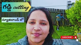 Grass Cutting Tips | గడ్డి Telugu Vlogs NZ | lifestyle Videos | Lawn Mower | Green Grass Garden