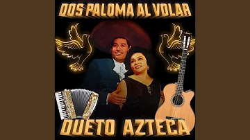 Dos Palomas Al Volar