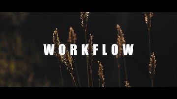 Magic Lantern Raw Video Worflow (10/12bit - Canon 700D)