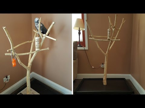 How to Build a Parrot Stand cheap - DIY
