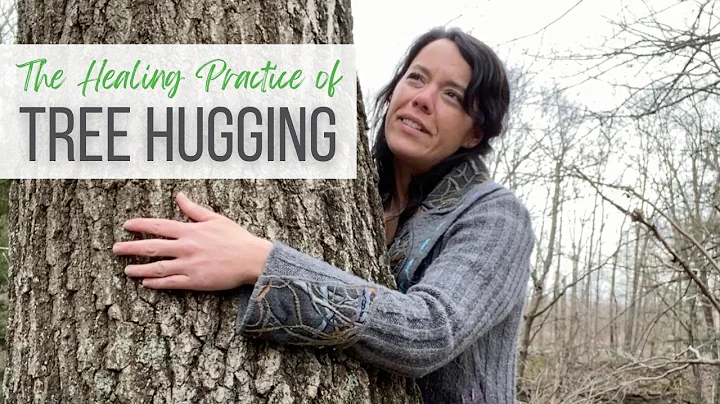 The Healing Practice of Tree Hugging
