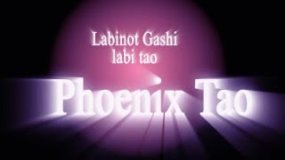 Download Lagu Phoenix Tao - Production MP3