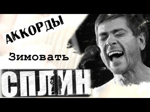 Сплин Остаемся зимовать аккорды 🎸 кавер табы как играть на гитаре | pro-gitaru.ru