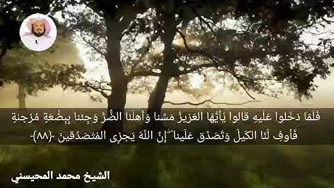 (قالوا أءنك لأنت يوسف قال أنا يوسف وهذا أخي) تلاوة خاشعة ومؤثرة للشيخ محمد المحيسني