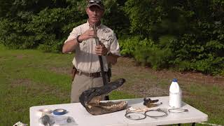 Dispatching an Alligator