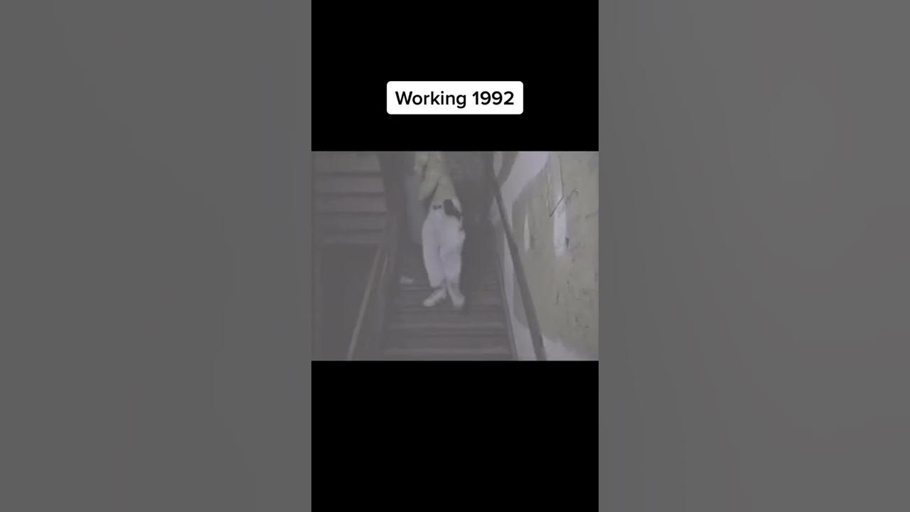 BarBack Job So Hard to do YouTube