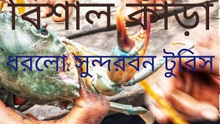 সুন্দরবন ভাইরাল ভিডিও কাঁড়া ধরা।দুই বন্ধু মিলে