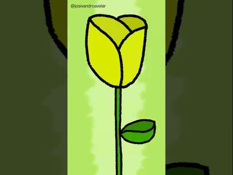 #criatividade - rosa refrescante