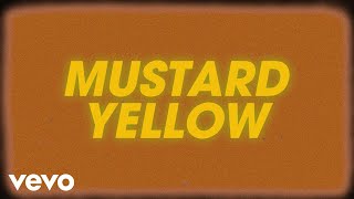Baker Boy - MUSTARD YELLOW (Official Visualiser)