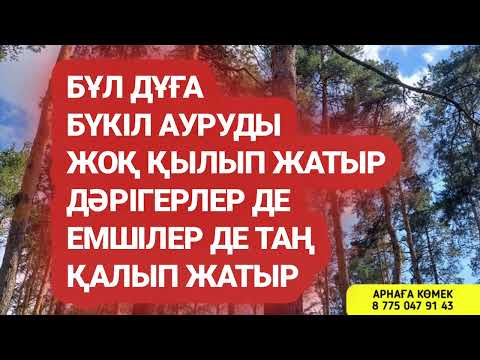 видео: Бұл дұға бүкіл ауруды жоқ қылып жатыр дәрігер емшілер таң қалуда 3)31,26-34