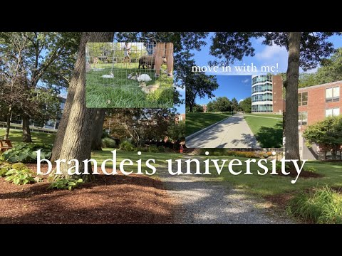 brandeis university move in vlog??