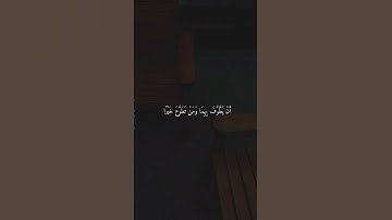 الصفا والمروة من شعائر الله – سورة البقرة 158