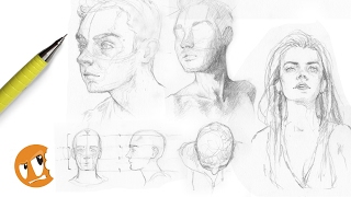 Stream: Drawing Heads from Different Angles