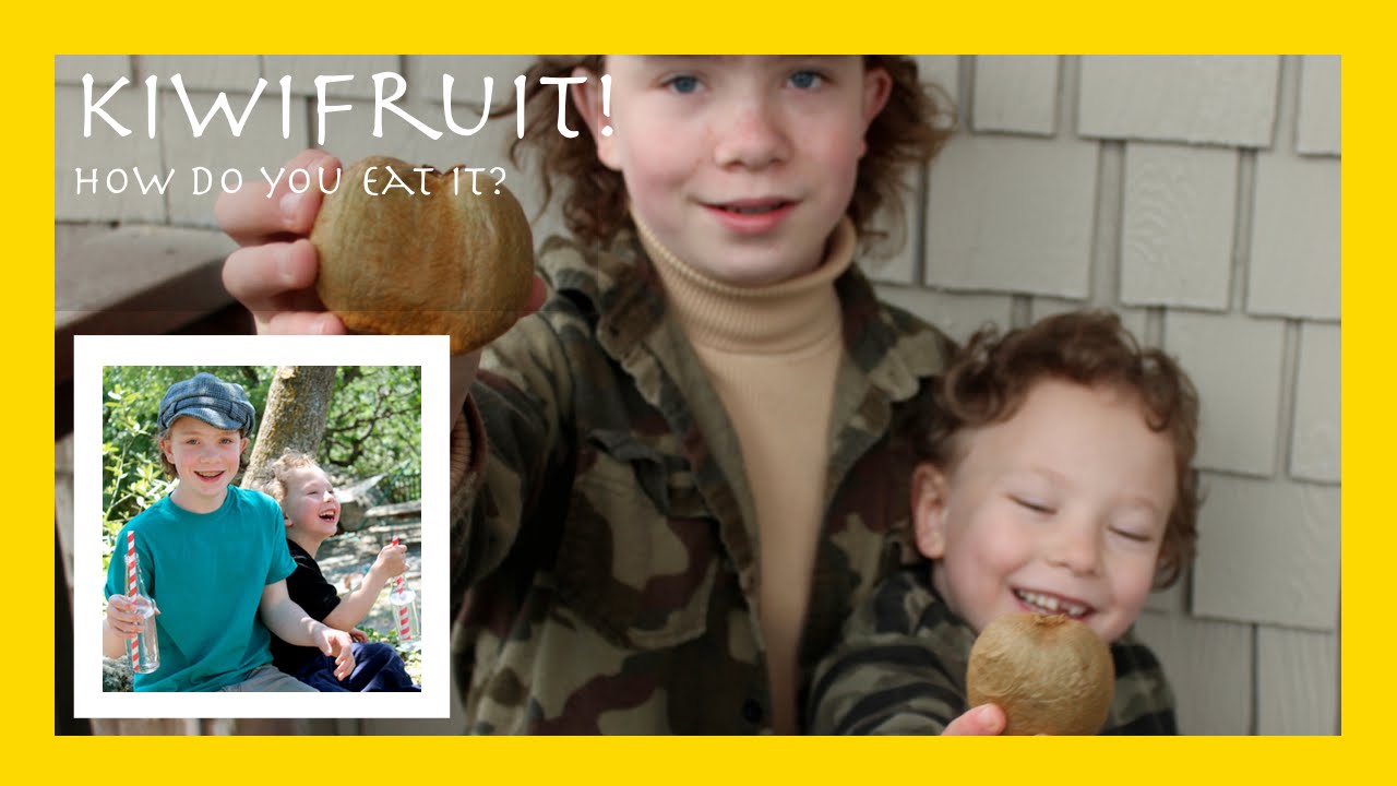 Kiwi: How to eat this strange, brown, fuzzy fruit called a "kiwi" - YouTube