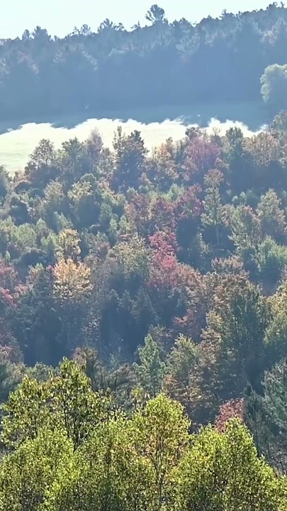 Vermont Green Mountain Foliage Clip 2706 10 10 2025