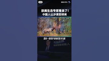 Thumbnail of 我在支付宝的蚂蚁森林里也在沙漠中种下了有我编号的胡杨树，开心