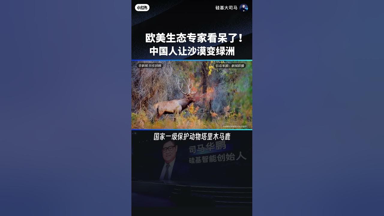 我在支付宝的蚂蚁森林里也在沙漠中种下了有我编号的胡杨树,开心 我在支付宝的蚂蚁森林里也在沙漠中种下了有我编号的胡杨树,开心