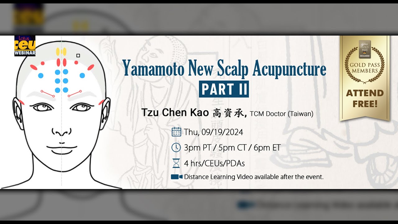 Yamamoto New Scalp Acupuncture Part 1 | Acupuncture CEUs