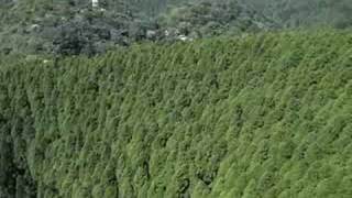 明神岳・神山・駒ヶ岳