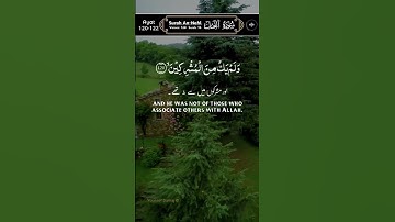 تلاوة عطرة من كتاب الله العزيز #المصحف #duet #اكسبلور #راحة_نفسية #حالات_واتس #يصلك #لايك #الرحمن