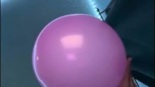 Balloon episode 🎈109461