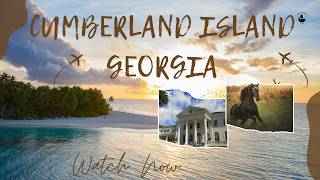 Cumberland Island Georgia: Top 10 Experiences You Can’t Miss