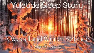 A Woodland Winter Solstice | Yuletide Sleep Story
