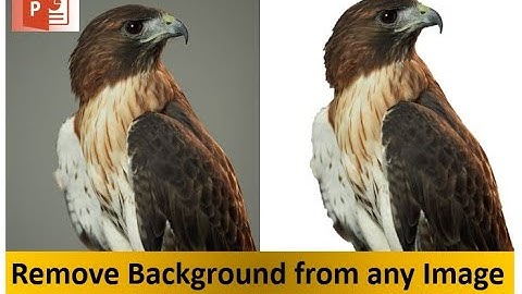 How to remove background from Image simply by using Powerpoint without Photoshop