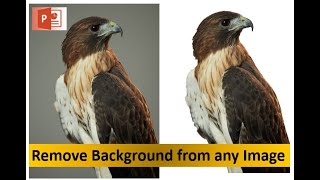How to remove background from Image simply by using Powerpoint without Photoshop