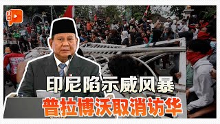 印尼示威加剧 普拉博沃取消访华行程