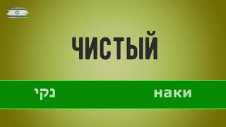 Прилагательные на иврите. Иврит для начинающих.