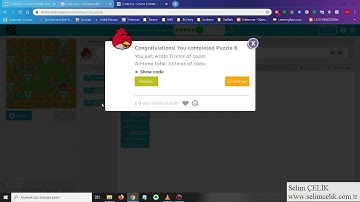 Code.org Course 2, Stage 3 