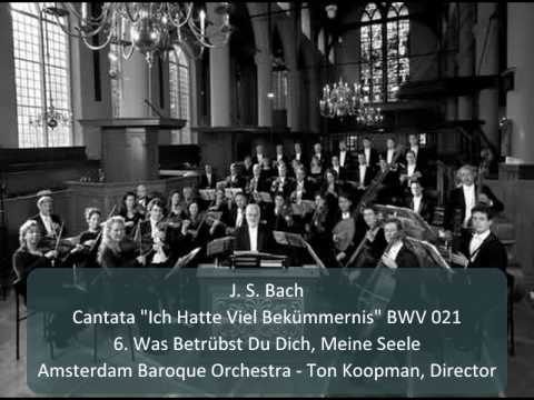 J. S. Bach - Cantata "Ich Hatte Viel Bekümmernis" BWV 21 - 6. Was Betrübst Du Dich (6/11)