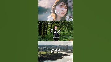 【初心者必見】カメラを買ったらまずは覚えておきたい3つのこと