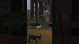 Sims 4  - How To Turn Off Animal Ageing