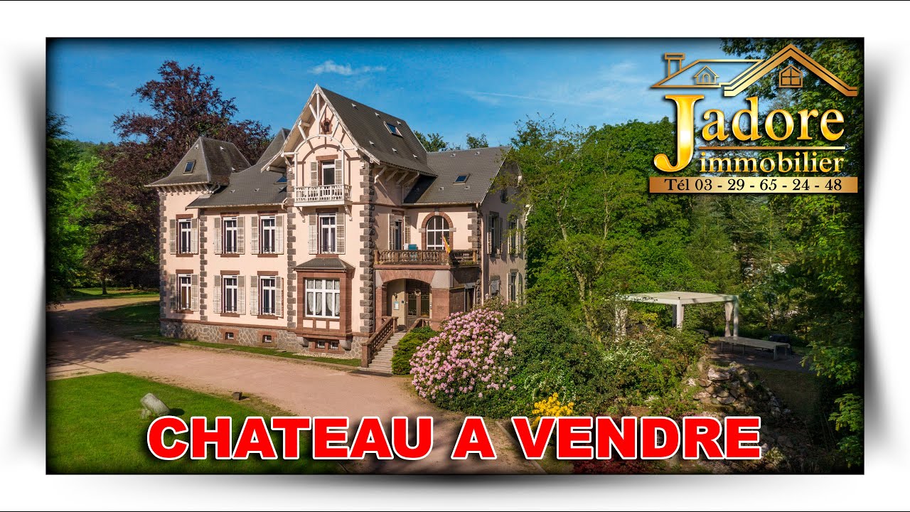 CHATEAU A VENDRE - 2023 - MASSIF DES VOSGES
