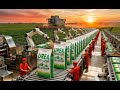Inside a Modern Urea Fertilizer Factory: From Production to Farm (Full Process)
